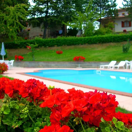 Aurora - Olmo Gubbio